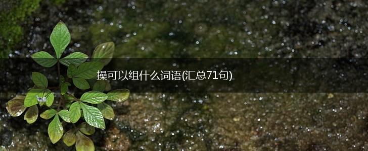操可以组什么词语(汇总71句),第1张