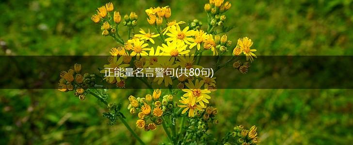 正能量名言警句(共80句),第1张