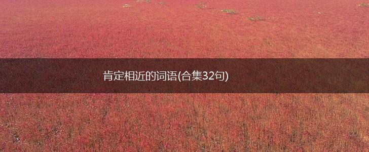 肯定相近的词语(合集32句),第1张