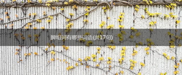 脾组词有哪些词语(共17句),第1张 脾组词有哪些词语(共17句),第1张