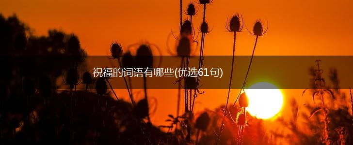 祝福的词语有哪些(优选61句),第1张