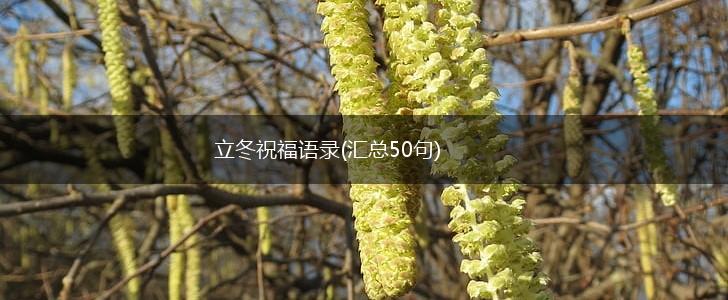 立冬祝福语录(汇总50句),第1张