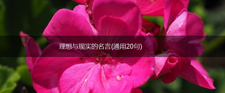 理想与现实的名言(通用20句),第1张