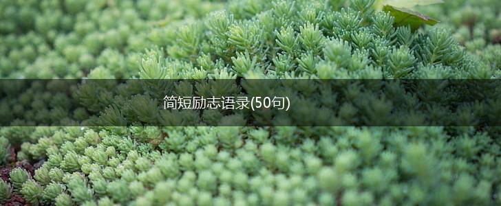 简短励志语录(50句),第1张
