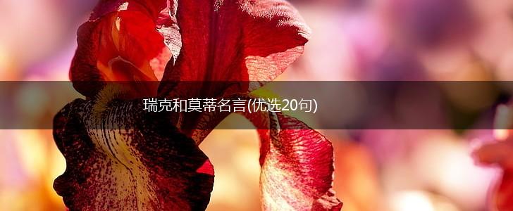 瑞克和莫蒂名言(优选20句),第1张