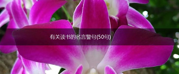 有关读书的名言警句(50句),第1张 有关读书的名言警句(50句),第1张