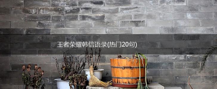 王者荣耀韩信语录(热门20句),第1张