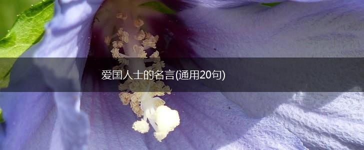 爱国人士的名言(通用20句),第1张