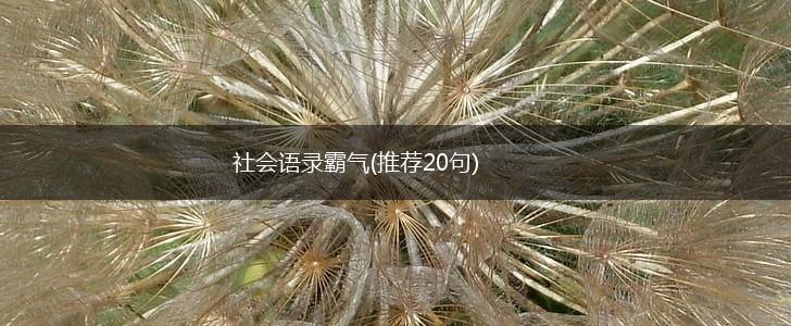 社会语录霸气(推荐20句),第1张