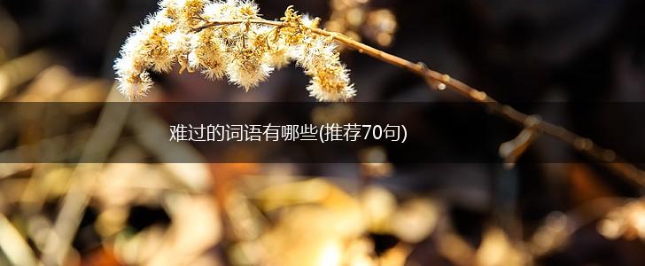 难过的词语有哪些(推荐70句),第1张