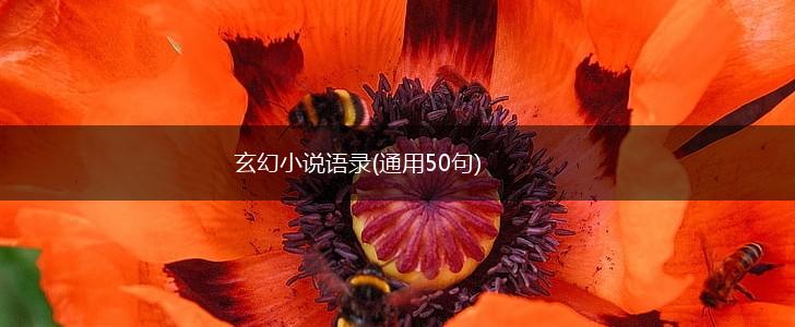 玄幻小说语录(通用50句),第1张
