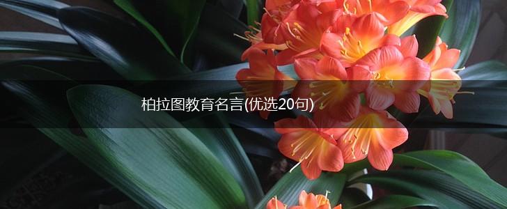 柏拉图教育名言(优选20句),第1张