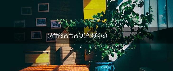 法律的名言名句(合集60句),第1张