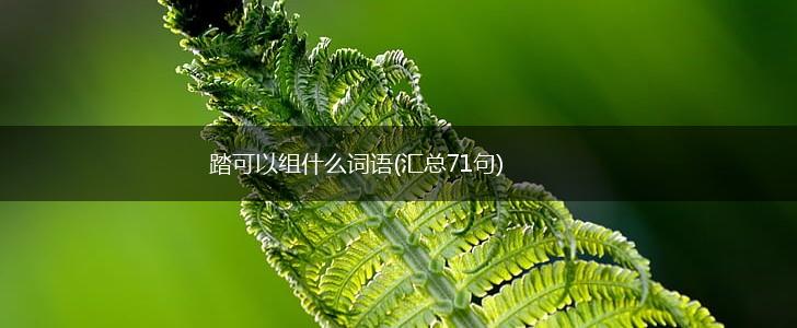 踏可以组什么词语(汇总71句),第1张