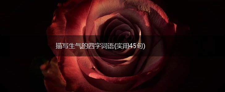 描写生气的四字词语(实用45句),第1张 描写生气的四字词语(实用45句),第1张