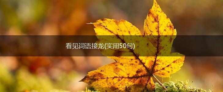 看见词语接龙(实用50句),第1张