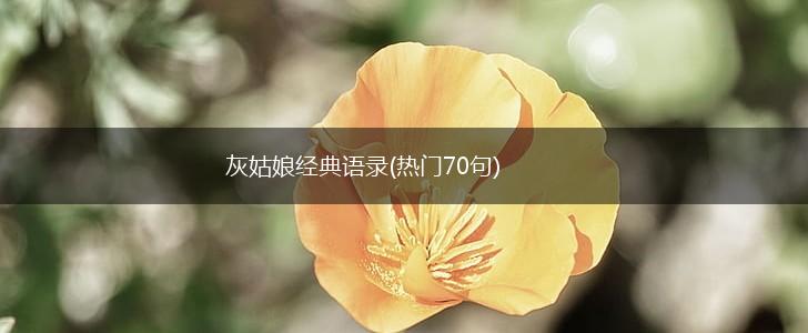 灰姑娘经典语录(热门70句),第1张