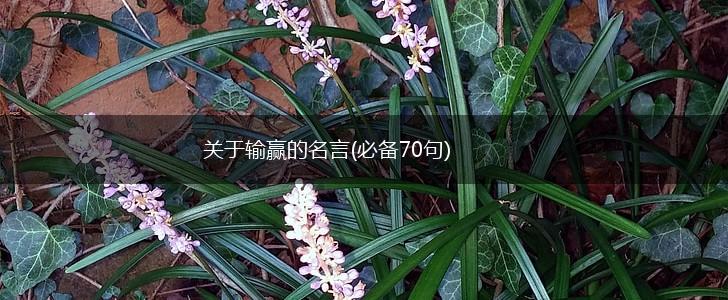关于输赢的名言(必备70句),第1张