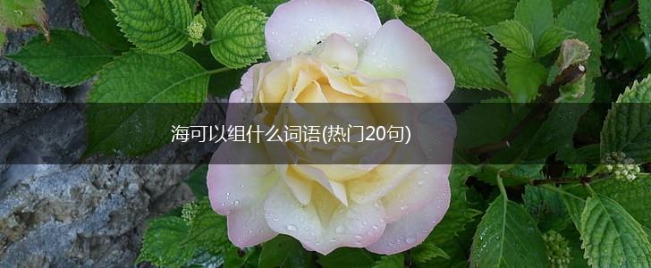 海可以组什么词语(热门20句),第1张