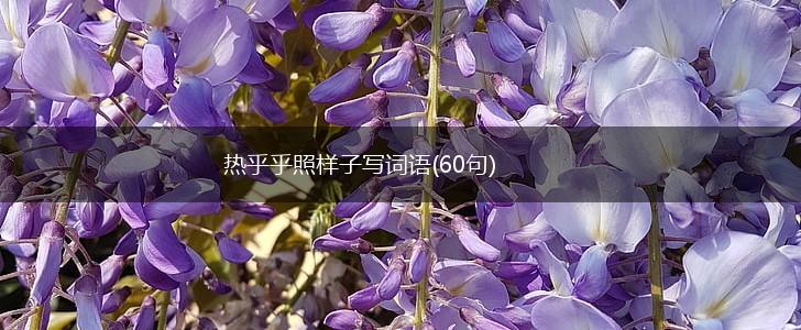 热乎乎照样子写词语(60句),第1张