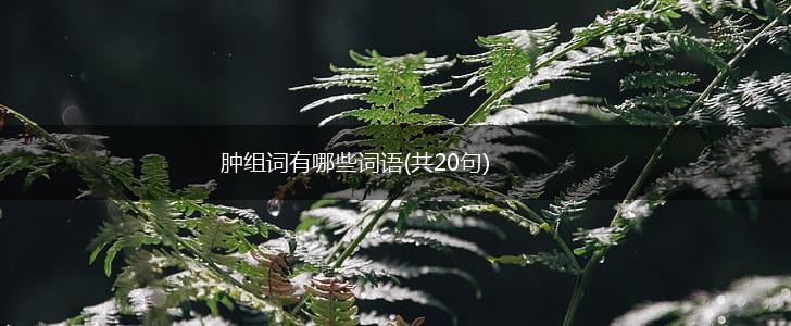 肿组词有哪些词语(共20句),第1张