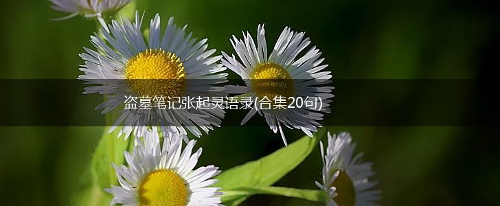 盗墓笔记张起灵语录(合集20句),第1张