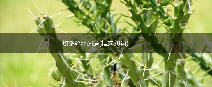 炫耀解释词语(精选50句),第1张
