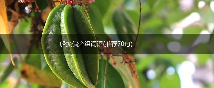 船换偏旁组词语(推荐70句),第1张 船换偏旁组词语(推荐70句),第1张