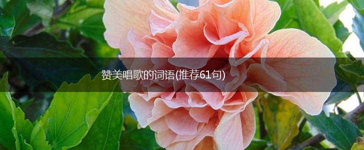 赞美唱歌的词语(推荐61句),第1张