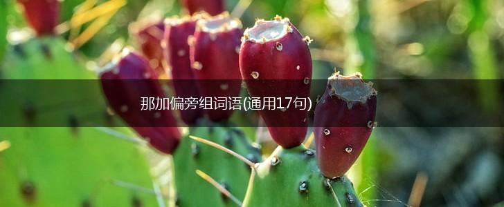 那加偏旁组词语(通用17句),第1张