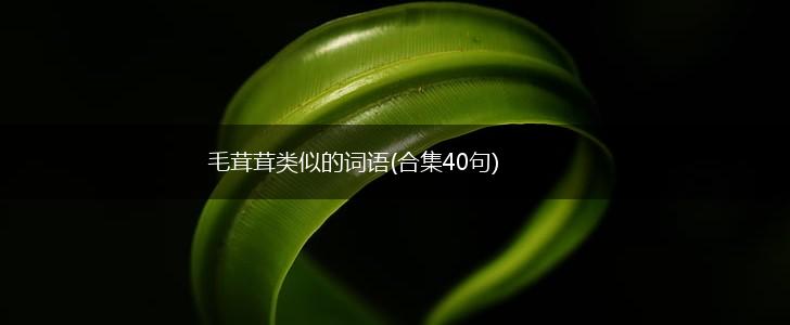 毛茸茸类似的词语(合集40句),第1张 毛茸茸类似的词语(合集40句),第1张