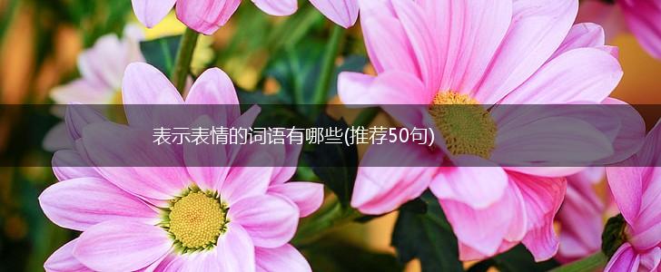 表示表情的词语有哪些(推荐50句),第1张 表示表情的词语有哪些(推荐50句),第1张