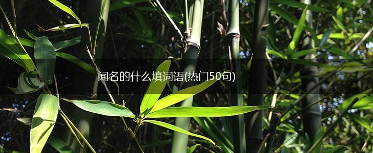闻名的什么填词语(热门50句),第1张 闻名的什么填词语(热门50句),第1张