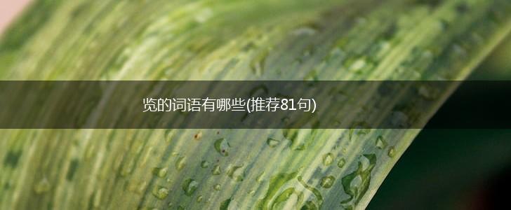 览的词语有哪些(推荐81句),第1张