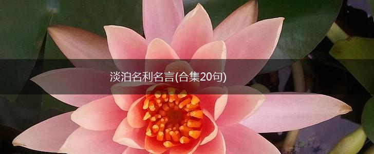 淡泊名利名言(合集20句),第1张