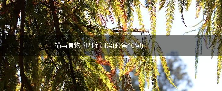 描写景物的四字词语(必备40句),第1张