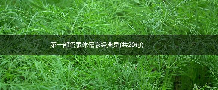 第一部语录体儒家经典是(共20句),第1张