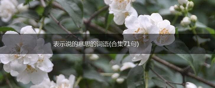 表示说的意思的词语(合集71句),第1张