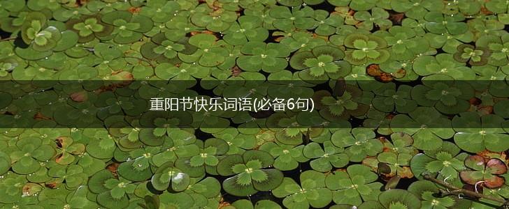 重阳节快乐词语(必备6句),第1张