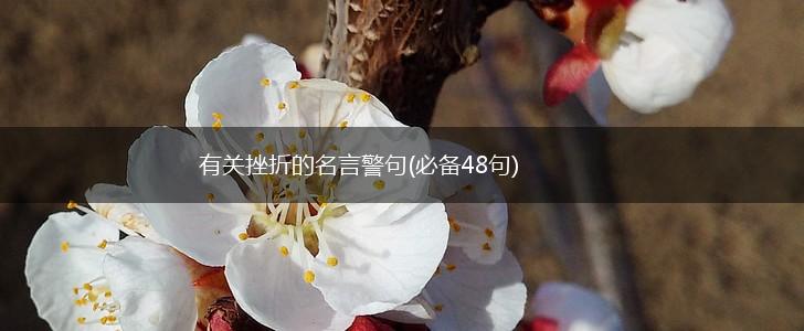 有关挫折的名言警句(必备48句),第1张 有关挫折的名言警句(必备48句),第1张