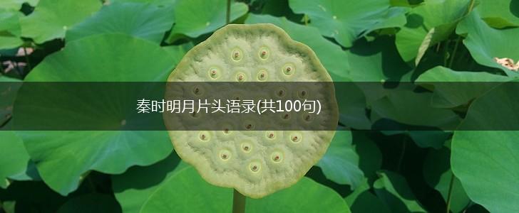 秦时明月片头语录(共100句),第1张