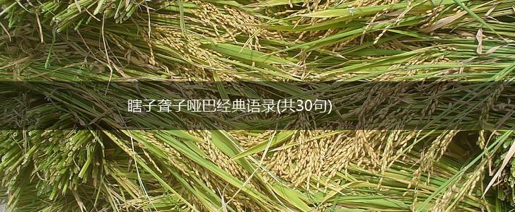 瞎子聋子哑巴经典语录(共30句),第1张