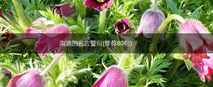 沟通的名言警句(推荐80句),第1张