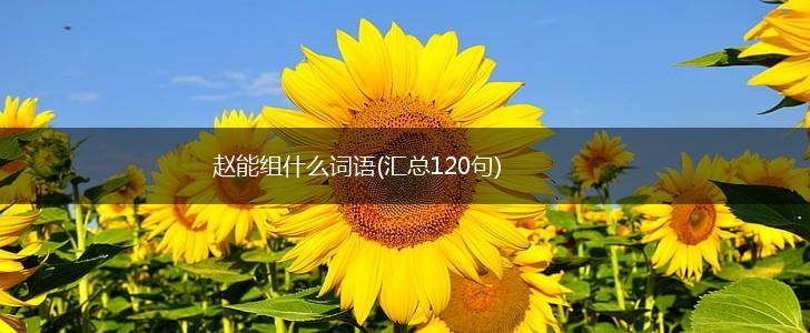 赵能组什么词语(汇总120句),第1张