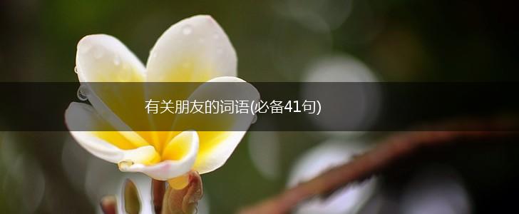 有关朋友的词语(必备41句),第1张 有关朋友的词语(必备41句),第1张