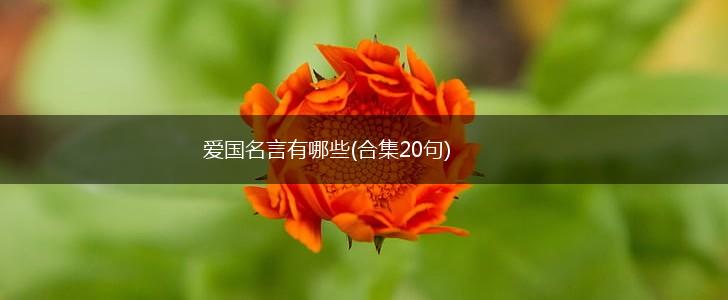 爱国名言有哪些(合集20句),第1张