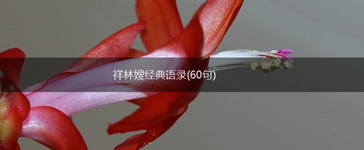 祥林嫂经典语录(60句),第1张