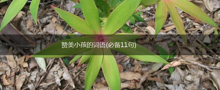 赞美小孩的词语(必备11句),第1张