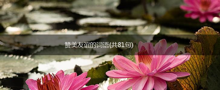 赞美友谊的词语(共81句),第1张