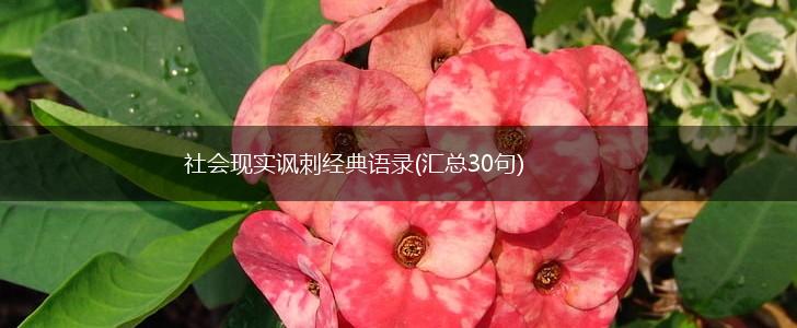 社会现实讽刺经典语录(汇总30句),第1张